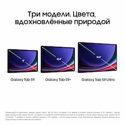 Планшет 14.6″ Samsung Galaxy Tab S9 Ultra 5G 256Gb, графитовый (РСТ)— фото №2